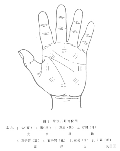 道医七诊：手诊