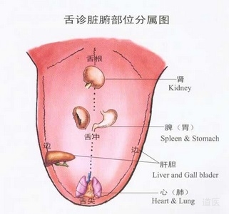 道医七诊：舌诊的操作方法，舌诊辨证图谱下载