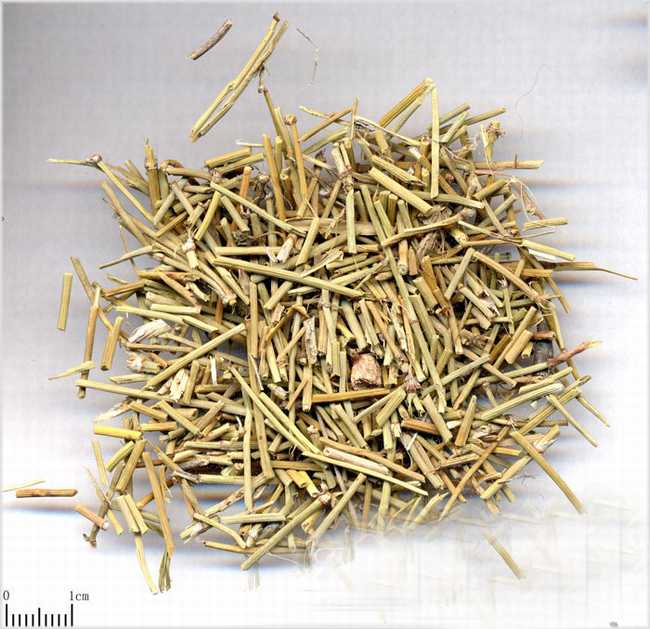 什么是中医？中医和西医，中药和西药的区别是什么？