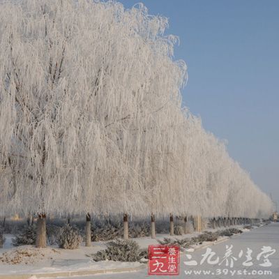 冬至是什么意思,冬至的起源和由来