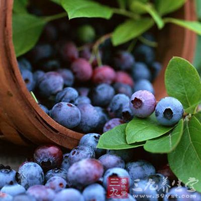 哪些人群不适合吃蓝莓？详细介绍蓝莓的功效与作用