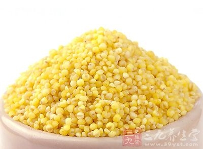 小米的功效与作用,小米的营养价值,小米粥的做法大全