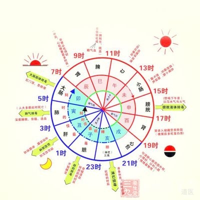 胆的功能与作用是什么？论述胆在中医养生中的重要性