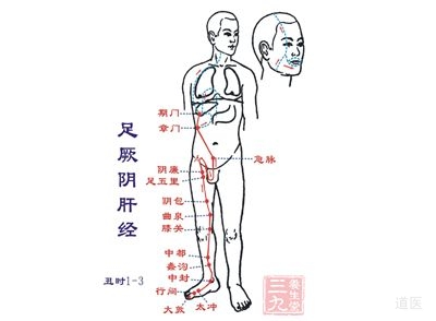 肝的作用是什么？中医养肝护肝方法介绍