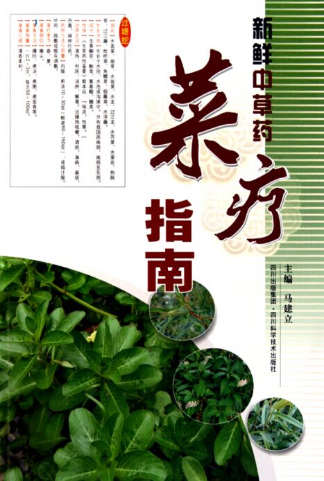 《新鲜中草药菜疗指南·彩图版》