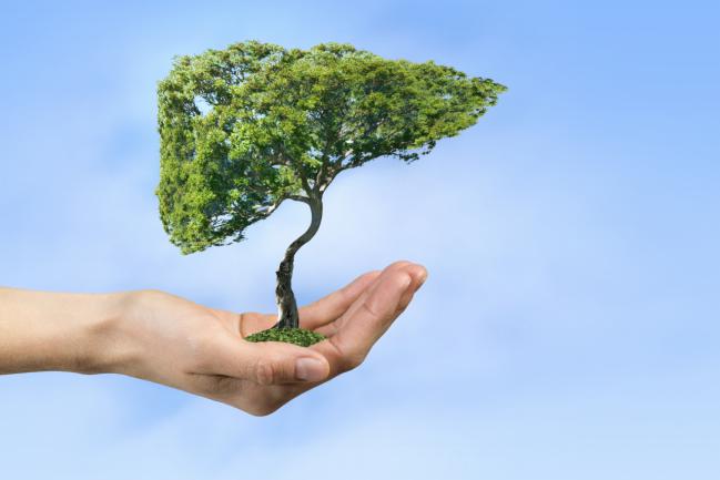 水飞蓟和这些方法，冬季护肝好选择