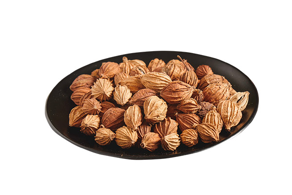 砂仁的功效与作用 砂仁的禁忌