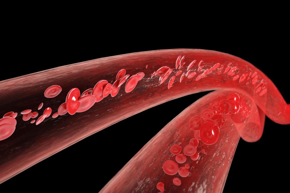 蛋白粉有什么用？汤臣倍健蛋白粉怎么样？