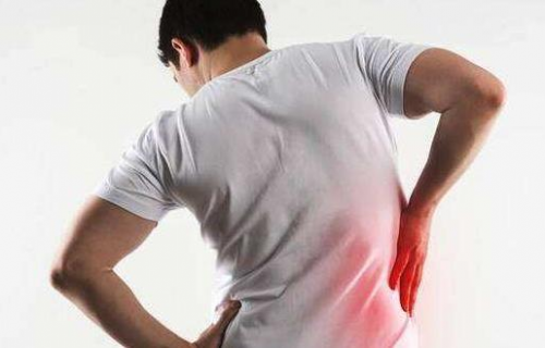 宫廷保健第一种子方—同仁五子衍宗丸