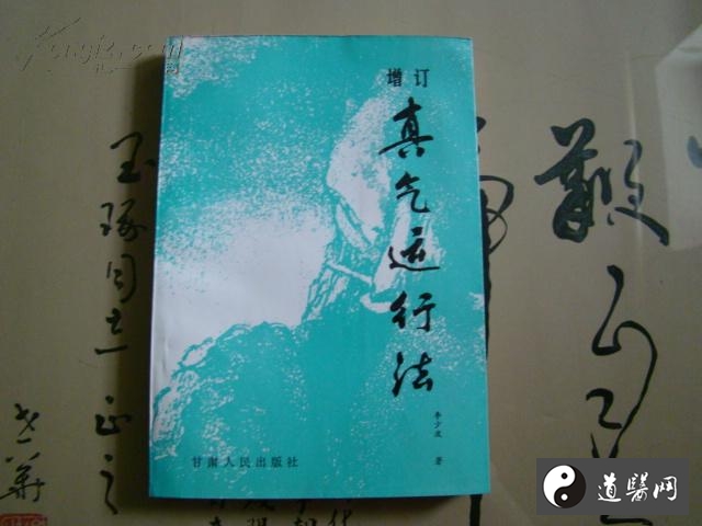 真气运行法治病的机理探讨