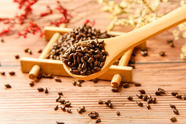 决明子泡水喝竟有6个害处 决明子泡水喝的害处