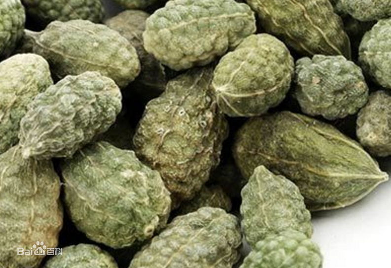 野西瓜的功效与作用