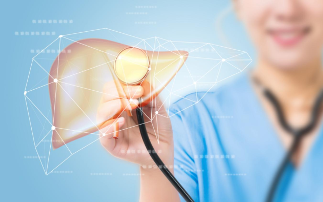 重视肝脏健康 认准水飞蓟葛根丹参片