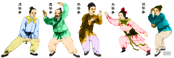 华佗五禽戏教学视频，华佗五禽戏的功能作用和医理探讨