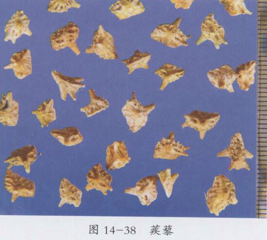 自拟利胆和胃汤治疗胆汁返流性胃炎(胃脘痛)