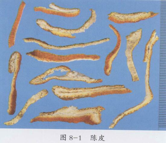 二陈汤合良附丸化裁治疗胃脘痛医案