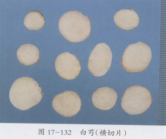 月经净后乳房长大胀痛的中医治疗医案