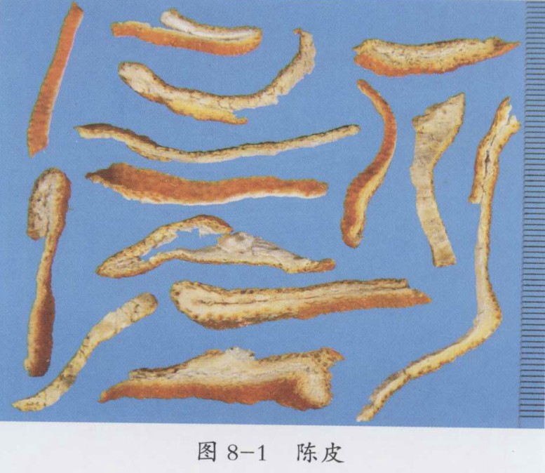 温胆汤,二陈汤加味治疗面部一侧微肿汗出