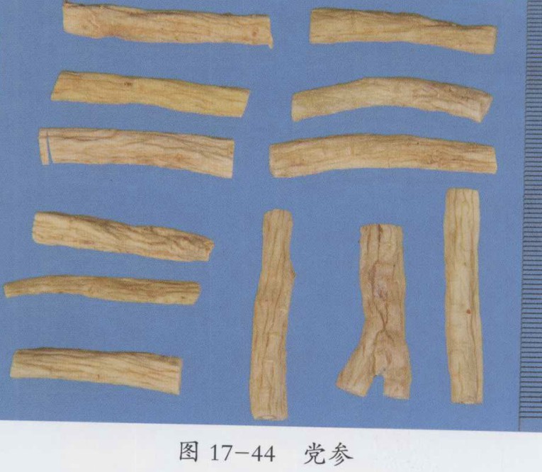 归脾汤合消瘰丸加减治疗乳腺小叶增生