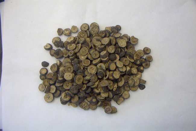 枳实薤白桂枝汤、附子粳米汤、桃花汤加减治疗寒湿痢疾