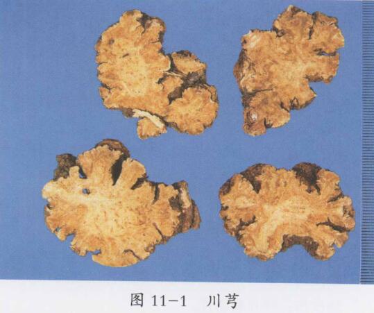 当归四逆汤、活络效灵丹二方加减治疗血瘀头痛