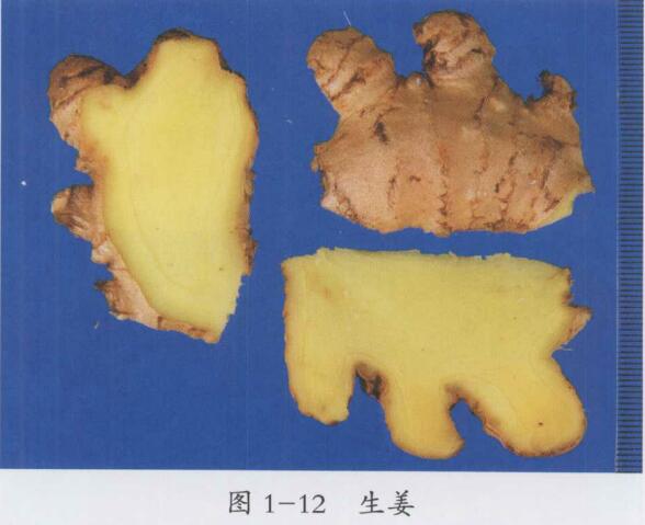 通窍活血汤加味治疗脉络瘀阻型头痛