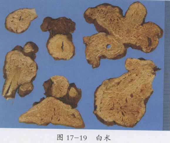 三十余年胃脘痛的中医治疗医案