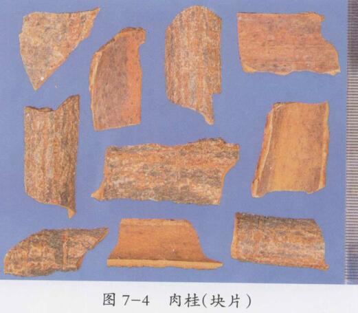 黄芪建中汤合附子理中汤加减治疗十二指肠球部溃疡